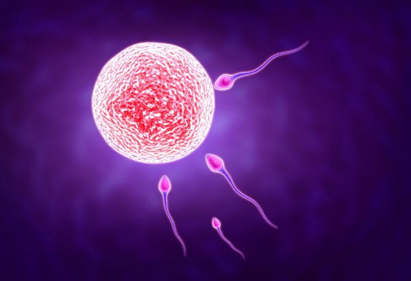 漂亮和气质哪个吸引人