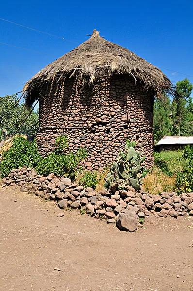 埃塞俄比亚高原原位于哪