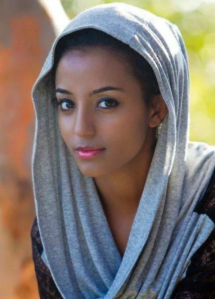 埃塞俄比亚高原原位于哪