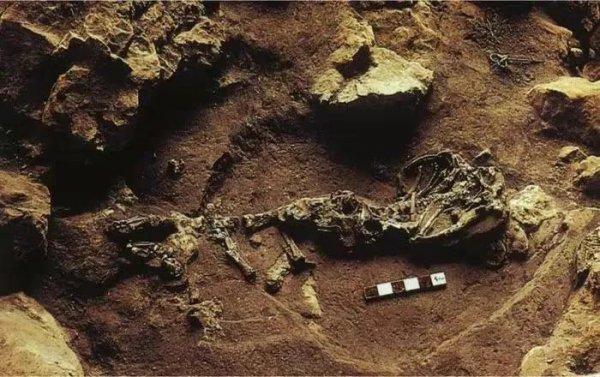 埃塞俄比亚高原原位于哪