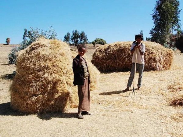 埃塞俄比亚高原原位于哪
