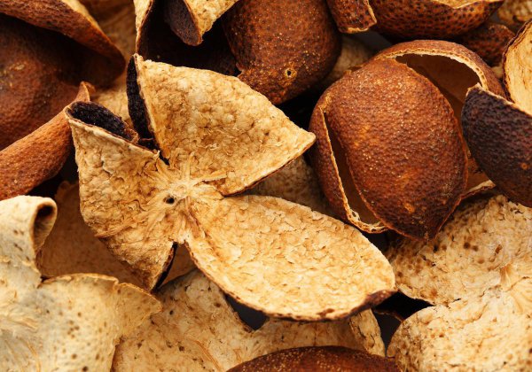 广东有什么好吃的特产