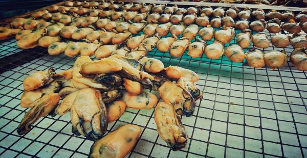 广东有什么好吃的特产