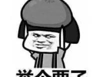 此致敬礼什么时候用