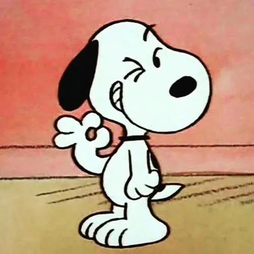 十二星座的特点和性格脾气