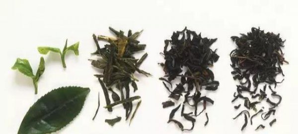 正确的泡茶七个步骤与方法