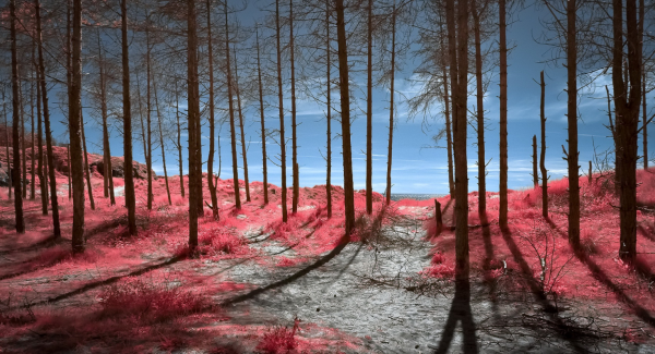 世界上最恶毒的星座有哪些