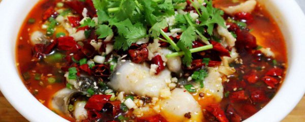 水煮鱼的配菜放什么