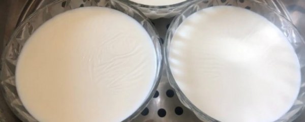 双皮奶是用什么做的