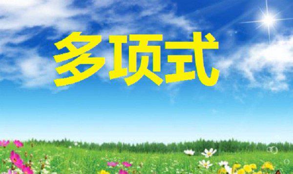 多项式的次数和项数