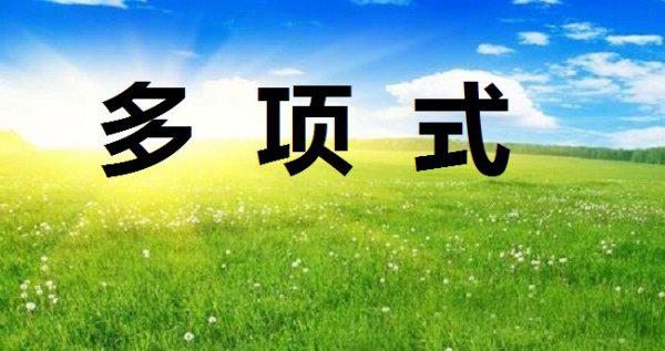 多项式的次数和项数