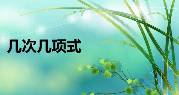 多项式的次数和项数