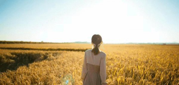 两个人感情淡了怎么重新培养