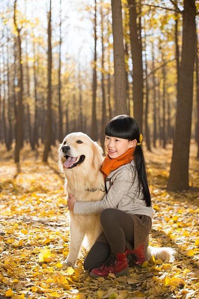 养狗的好处有哪些