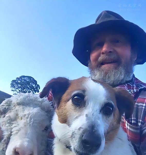 养狗的好处有哪些