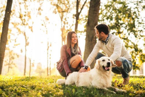 养狗的好处有哪些