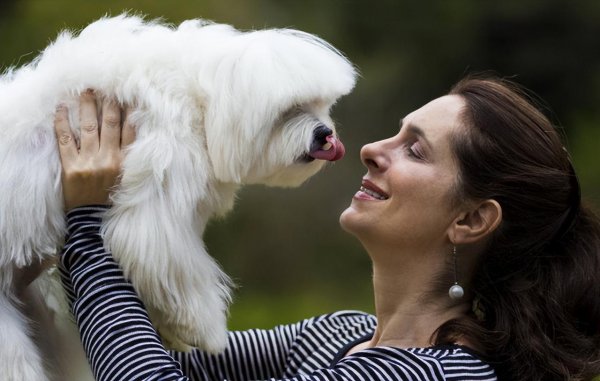 养狗的好处有哪些