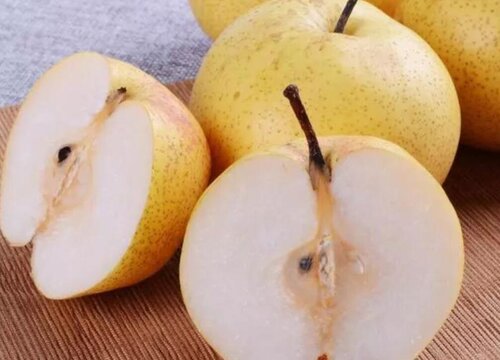 苹果梨产地在什么地方