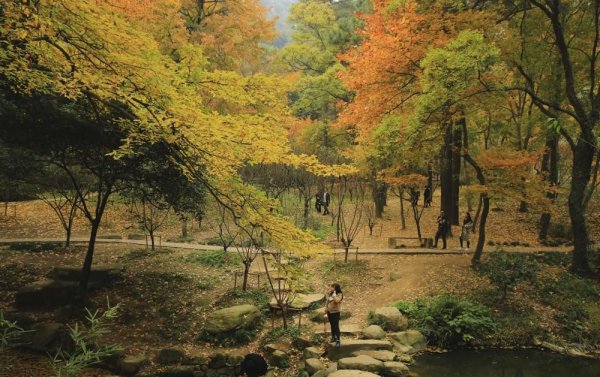 苏州好玩的地方推荐