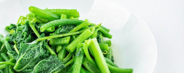 嫩苋菜梗怎么吃