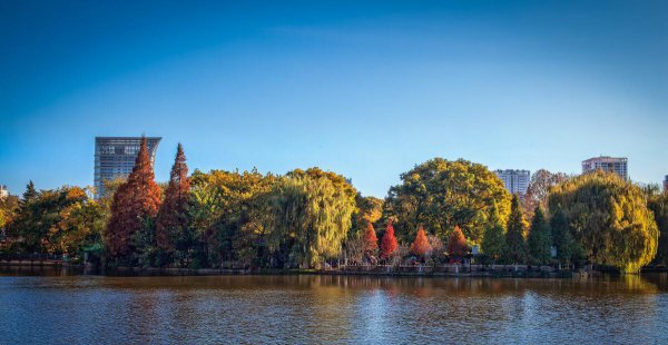 昆明主城区是哪个区位置