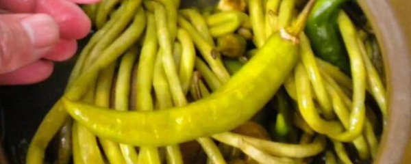 腌豆角的长期保存方法