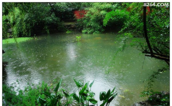 锦里在成都哪里