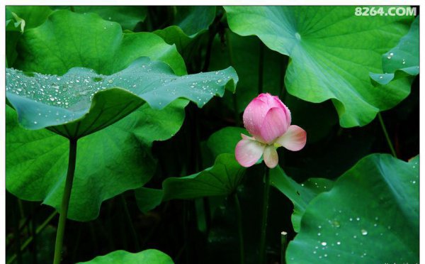 锦里在成都哪里