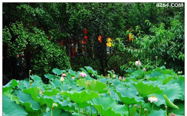 锦里在成都哪里