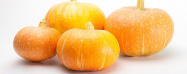 南瓜能和羊肉一起吃吗