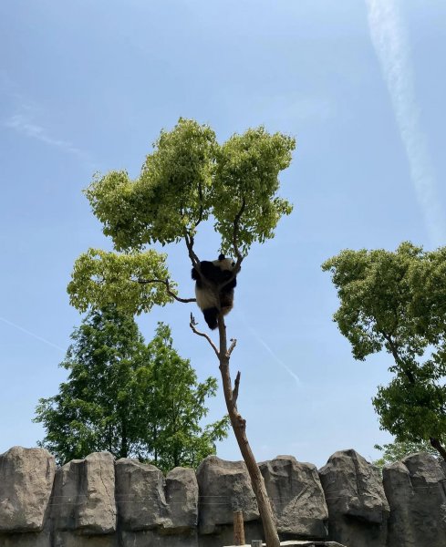 上海最佳景点推荐