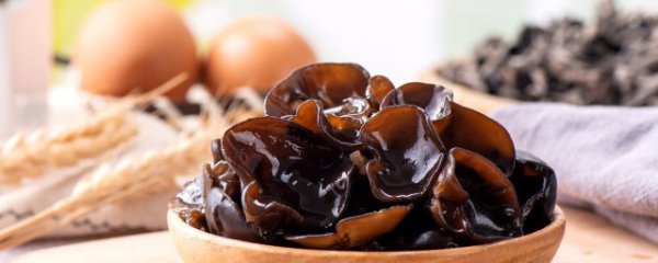 烤木耳用什么材料好