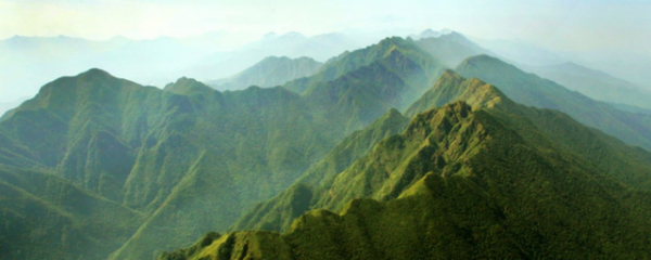 广西十万大山在哪里地方