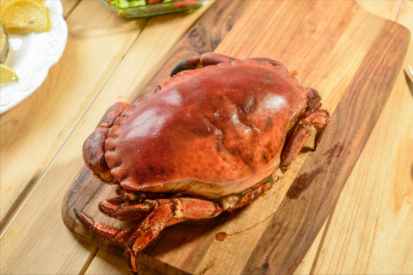 螃蟹的种类图片