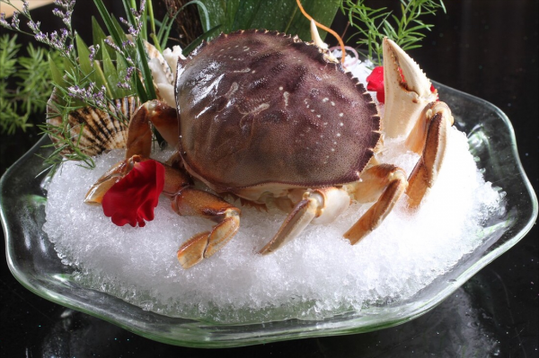 螃蟹的种类图片