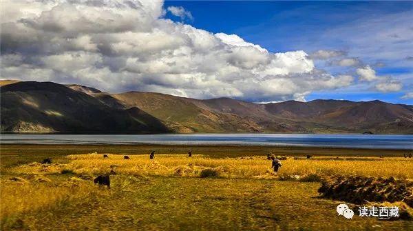 浪卡子县海拔多少米高