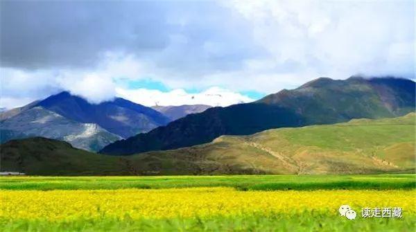 浪卡子县海拔多少米高