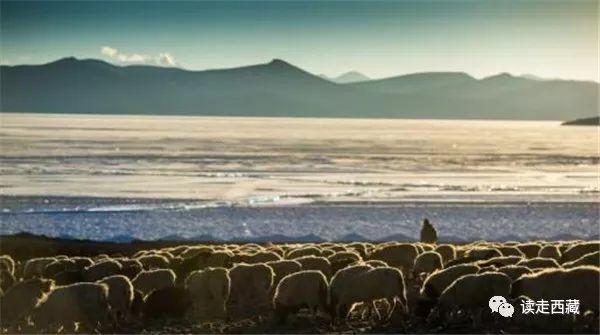 浪卡子县海拔多少米高