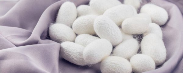 桑蚕丝能水洗吗