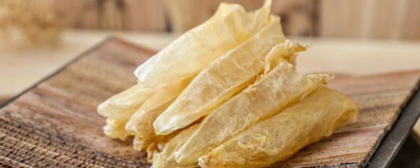 花胶是什么东西呀