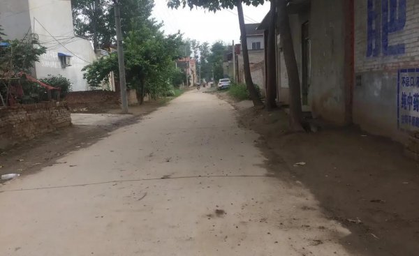 四种灵性动物不能放生