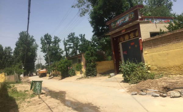 四种灵性动物不能放生