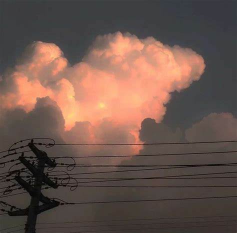 处女女和巨蟹男座配对指数