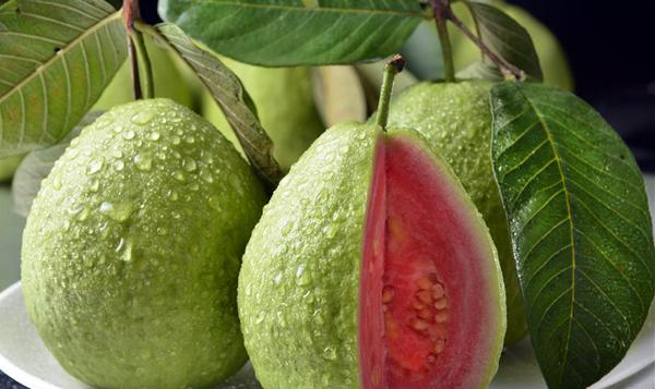 吃芭乐时里面的籽要去掉吗