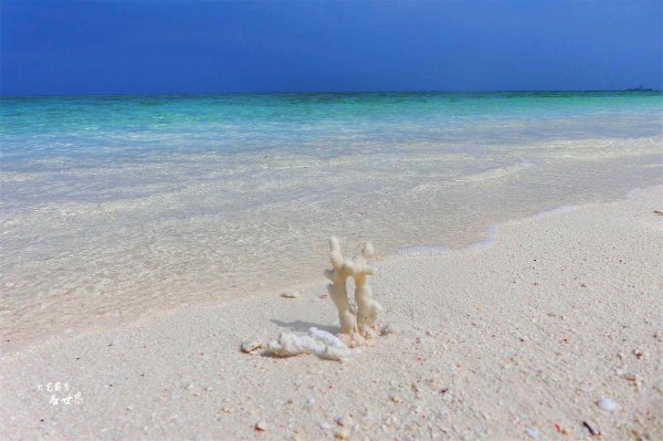 三沙市可以随便去吗