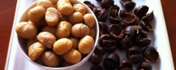 栗子发芽煮熟了能吃吗