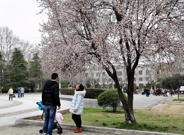 南京理工大学江阴校区是几本
