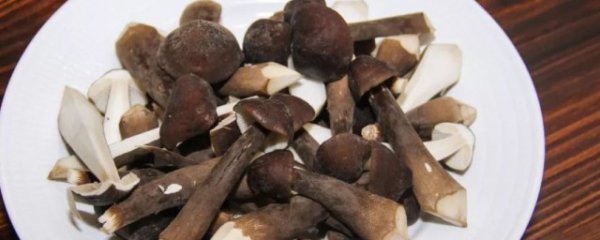 如何保存新鲜鸡枞