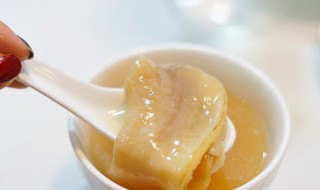 鱼胶的正确炖法 怎么炖鱼胶