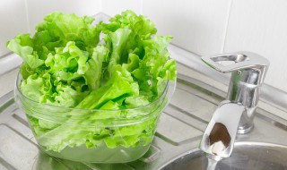 适合7月份种的蔬菜 7月适合种些什么蔬菜